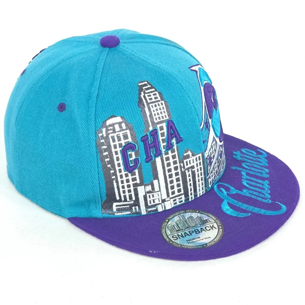 N/A charlotte hornets